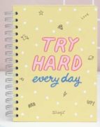 MR. WONDERFUL SMALL NOTEBOOK - TRY HARD EVERY DAY