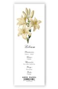 Artepapel Marcapáginas Lilium