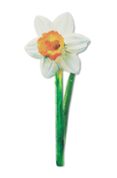 Marcapáginas Flores Narciso