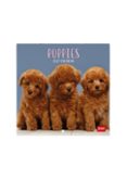 calendario 2027 pared 18x18 puppies legami