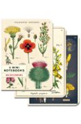 Set 3 Mini Cuadernos Cavallini 10 X 14cm Wildflowers