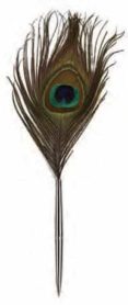Boligrafo Con Pluma - Peacock