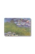 Espejo Deslizante Rectangular Con Su Funda - Monet - Armonia Azul