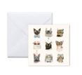 Arte Papel Coleccion 16x16 Cat Faces