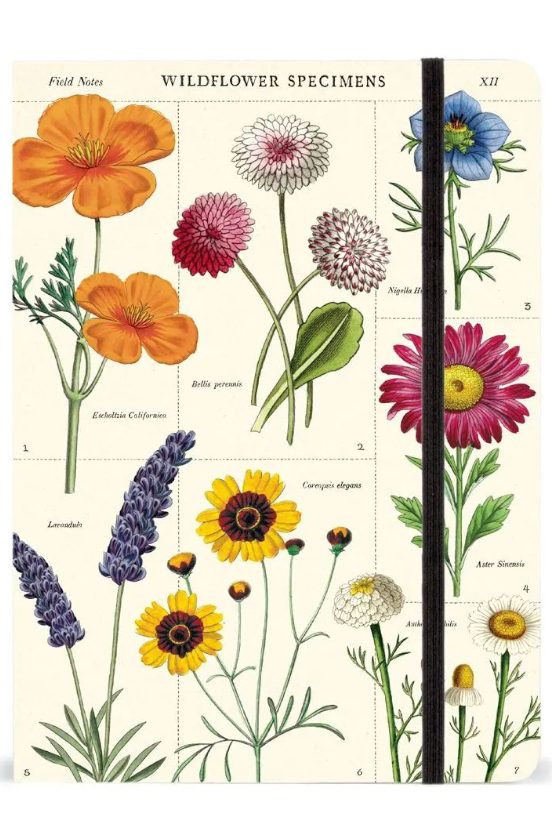 Cuaderno flores silvestres grande 15x20 cm Cavallini