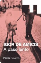 A PASO LENTO (EBOOK)