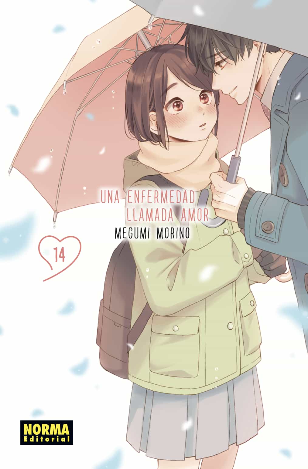 Portada de Una enfermedad llamada amor 14