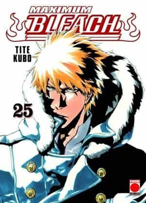 Portada de Bleach maximum 25