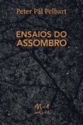 Ensaios Do Assombro (ebook)