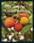 CORDOBA GASTRONOMICA de VILLEGAS BECERRIL, ALMUDENA 