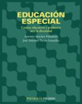 EDUCACION ESPECIAL: CENTROS EDUCATIVOS Y PROFESORES ANTE LA DIVER SIDAD de VV.AA.  TORRES GONZALEZ, JOSE ANTONIO 