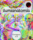 ILUMIANATOMA de DAVIES, KATE 