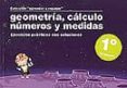 GEOMETRIA, CALCULO, NUMEROS Y MEDIDAS (1 PRIMARIA): EJERCICIOS P RACTICOS CON SOLUCIONES di VV.AA. 