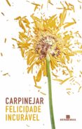 Felicidade Incurável (ebook)