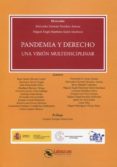 PANDEMIA Y DERECHO. UNA VISIN MULTIDISCIPLINAR di LLORENTE SANCHEZ-ARJONA, MERCEDES 