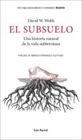 El Subsuelo (ebook)