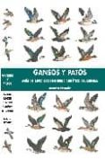 GANSOS Y PATOS: GUIA DE ESPECIES DE INTERES CINEGETICO DEL MUNDO di NOTARIO GOMEZ, ANTONIO 