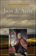 JUAN DE AVILA: APOSTOL EN CAMINO de RUBIO FERNANDEZ, JUAN 