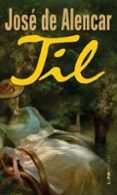 Um Inimigo Do Povo (ebook)