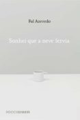 Sonhei Que A Neve Fervia (ebook)