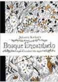 BOSQUE ENCANTADO: CUADERNO di BASFORD, JOHANNA 