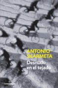 DESNUDO EN EL TEJADO de SKARMETA, ANTONIO 