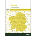 TEMARIO ESPECIFICO PINCHE. SERVIZO GALEGO DE SAUDE di VV.AA. 
