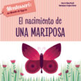 MUNDO DE LOGROS :NACIMIENTO DE UNA MARIPOSA (VVKIDS) de PIRODDI, CHIARA 