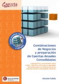 COMBINACIONES DE NEGOCIOS Y PREPARACION DE LAS CUENTAS ANUALES CO NSOLIDADAS de PULIDO, ANTONIO 