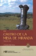 GUIA CASTRO DE LA MESA DE MIRANDA: CHAMARTIN, AVILA (CUADERNOS DE PATRIMONIO ABULENSE N 2) de FABIAN GARCIA, J. FRANCISCO  FABIAN GARCIA, J. FRANCISCO 