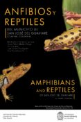 Anfibios Y Reptiles Del Municipio De San José Del Guaviare (guaviare C