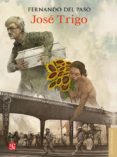 JOSE TRIGO de PASO, FERNANDO DEL 