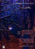 DE SUEOS Y SOMBRAS: LOS ESCOMBROS DE LA MEMORIA de LOZANO GARCIA, SEBASTIAN 