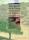 INTERPRETACION DE LA LLUVIA POR ENCIMA EN LOS ESPACIOS ADEHESADOS de MATEOS RODRIGUEZ, ANA BEATRIZ 