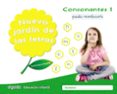 NUEVO JARDN DE LAS LETRAS EDUCACION INFANTIL 5 AOS CONSONANTES 1  PAUTA MEC de CAMPUZANO VALIENTE, MARIA DOLORES 