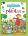 LAS PLANTAS DESCUBRO Y PEGO de BROOKS, FELICITY 
