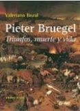 PIETER BRUEGEL: TRIUNFOS, MUERTE Y VIDA de BOZAL, VALERIANO 