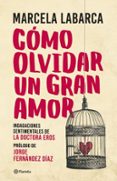 Cómo Olvidar Un Gran Amor (ebook)