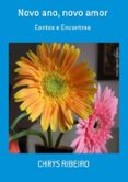 Novo Ano Novo Amor (ebook)