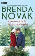 ENAMORADA DE UN EXTRAO di NOVAK, BRENDA 