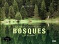 VIAJE VISUAL Y SONORO POR LOS BOSQUES DE ESPAA di HITA MORENO, CARLOS DE 