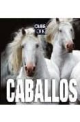 CABALLOS (CUBE BOOK) di VV.AA. 