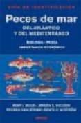 PECES DE MAR DEL ATLANTICO Y DEL MEDITERRANEO: GUIA DE IDENTIFICA CION di VV.AA. 