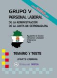 GRUPO V PERSONAL LABORAL DE LA JUNTA DE EXTREMADURA di VV.AA. 