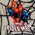 EL MUNDO SEGUN SPIDERMAN de WALLACE, DANIEL 