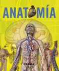 ANATOMIA di VV.AA. 