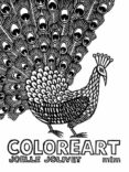 COLOREART di JOLIVET, JOELLE 