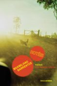 Hotéis (ebook)