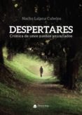 Despertares. Crónica De Unos Sueños Anunciados (ebook)