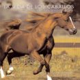 LA VIDA DE LOS CABALLOS di HOLDERNESS-RODDAM, JANE 